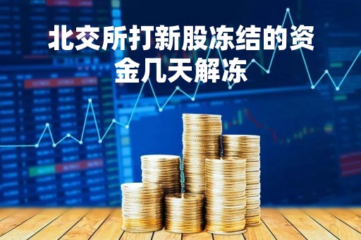 北交所打新股冻结的资金几天解冻