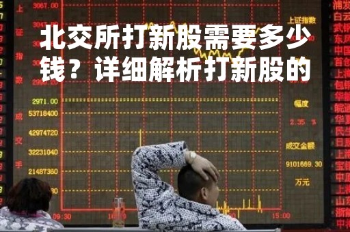 北交所打新股需要多少钱？详细解析打新股的成本和风险