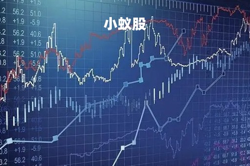 小蚁股