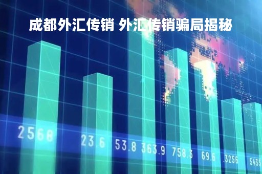 成都外汇传销 外汇传销骗局揭秘