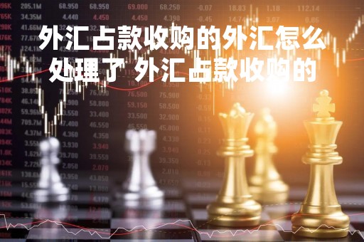 外汇占款收购的外汇怎么处理了 外汇占款收购的外汇怎么处理了没有