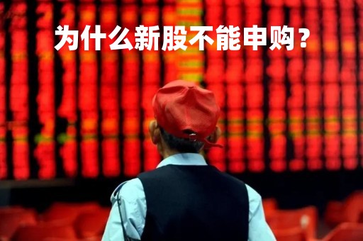 为什么新股不能申购? 为什么新股不能申购?