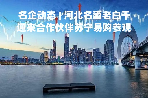 名企动态 | 河北名酒老白干迎来合作伙伴苏宁易购参观交流