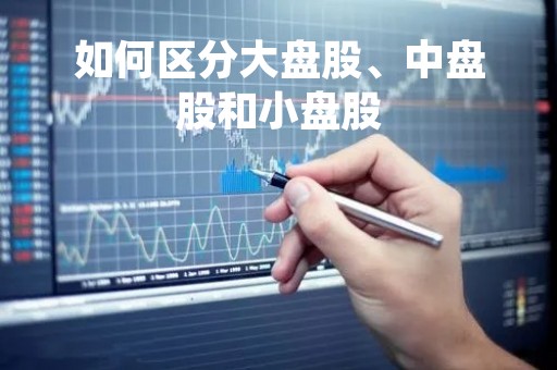 如何区分大盘股、中盘股和小盘股