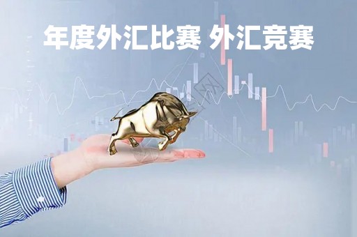年度外汇比赛 外汇竞赛