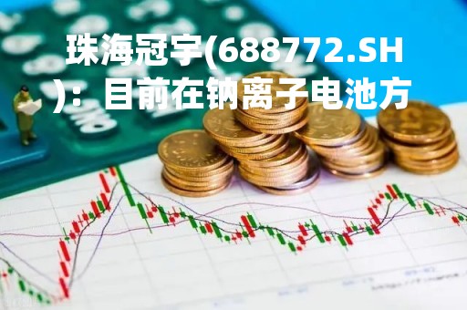 珠海冠宇(688772.SH)：目前在钠离子电池方面有做相关的项目研发