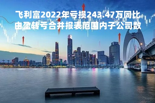飞利富2022年亏损243.47万同比由盈转亏合并报表范围内子公司数量减少