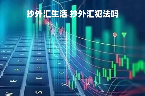抄外汇生活 抄外汇犯法吗