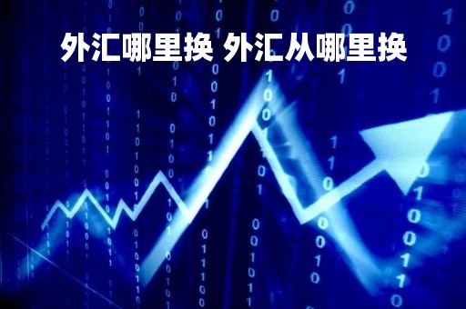 外汇哪里换 外汇从哪里换