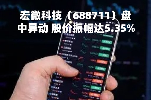 宏微科技（688711）盘中异动 股价振幅达5.35%  上涨7%（04-27）
