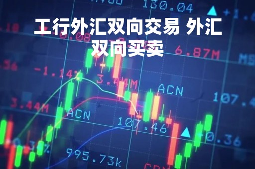 工行外汇双向交易 外汇双向买卖