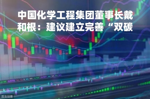 中国化学工程集团董事长戴和根：建议建立完善“双碳”标准体系