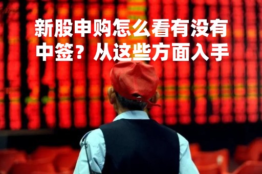新股申购怎么看有没有中签?从这些方面入手 新股申购怎么看有没有中签?从这些方面入手