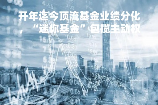 开年迄今顶流基金业绩分化，“迷你基金”包揽主动权益类前三