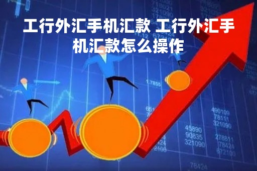 工行外汇手机汇款 工行外汇手机汇款怎么操作