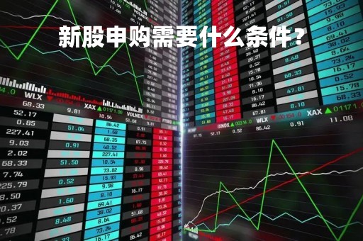 新股申购需要什么条件?