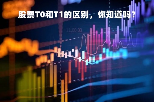 股票T0和T1的区别，你知道吗？