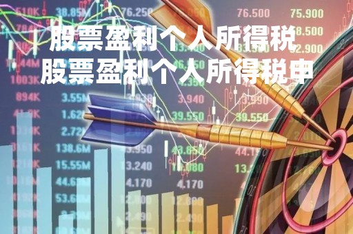 股票盈利个人所得税 股票盈利个人所得税申报
