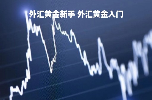 外汇黄金新手 外汇黄金入门