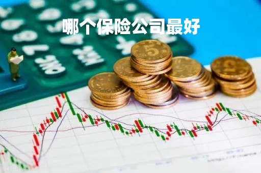 哪个保险公司最好