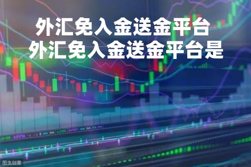 外汇免入金送金平台 外汇免入金送金平台是什么