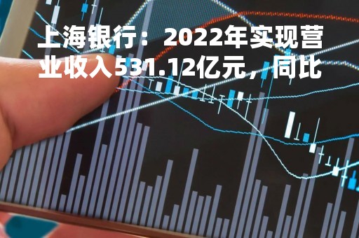 上海银行：2022年实现营业收入531.12亿元，同比下降5.54%