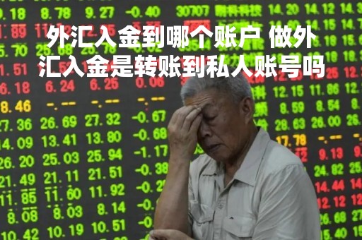 外汇入金到哪个账户 做外汇入金是转账到私人账号吗