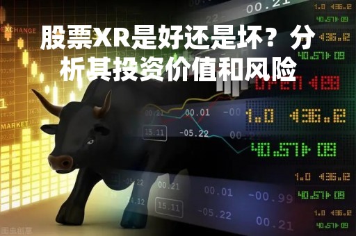 股票XR是好还是坏？分析其投资价值和风险