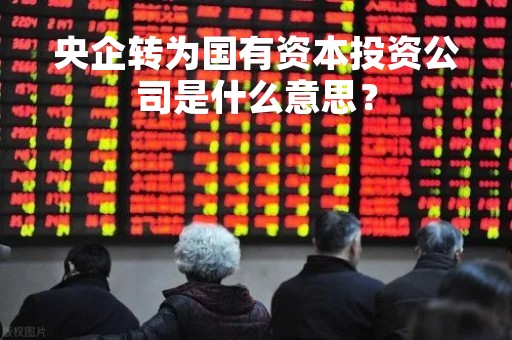 央企转为国有资本投资公司是什么意思？