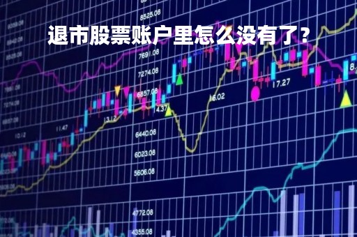 退市股票账户里怎么没有了？
