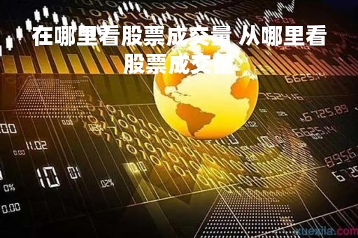 在哪里看股票成交量 从哪里看股票成交量