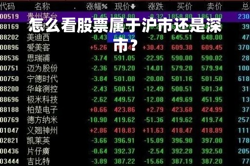 怎么看股票属于沪市还是深市？