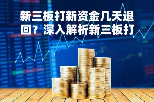 新三板打新资金几天退回？深入解析新三板打新机制