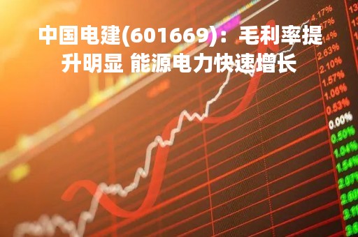中国电建(601669)：毛利率提升明显 能源电力快速增长