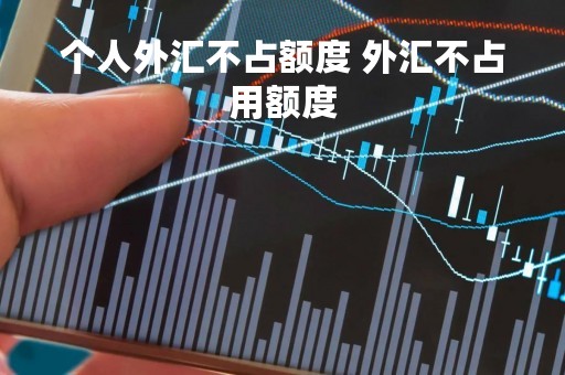 个人外汇不占额度 外汇不占用额度