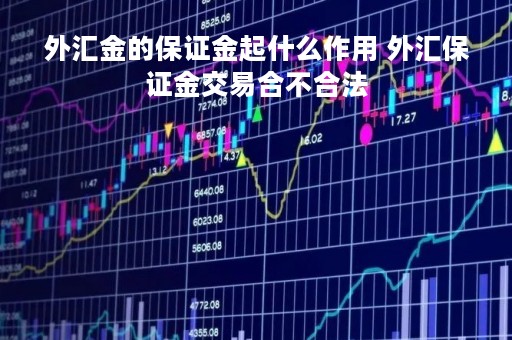 外汇金的保证金起什么作用 外汇保证金交易合不合法