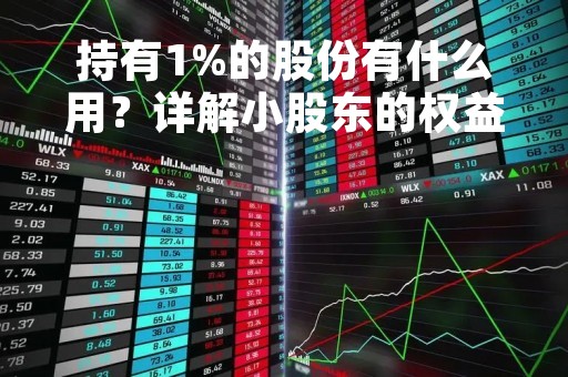 持有1%的股份有什么用？详解小股东的权益和利益