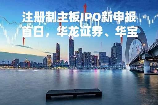 注册制主板IPO新申报首日，华龙证券、华宝证券获“压线”受理？ 已有6家券商进入注册制主板排队审核序列