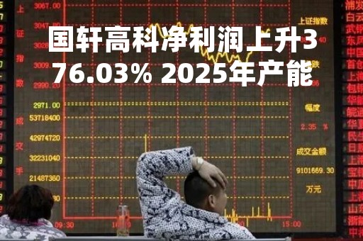 国轩高科净利润上升376.03% 2025年产能将突破300GWh