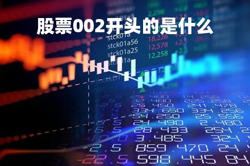 股票002开头的是什么