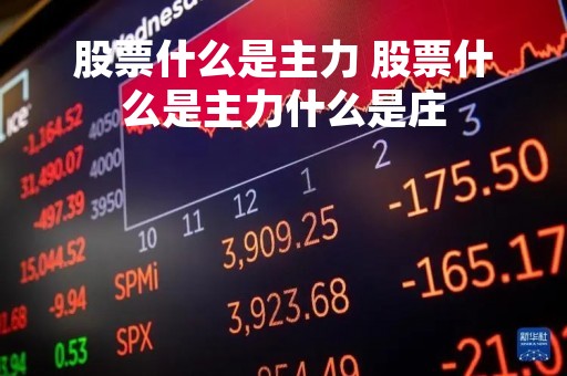 股票什么是主力 股票什么是主力什么是庄