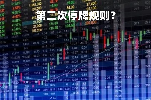 第二次停牌规则？