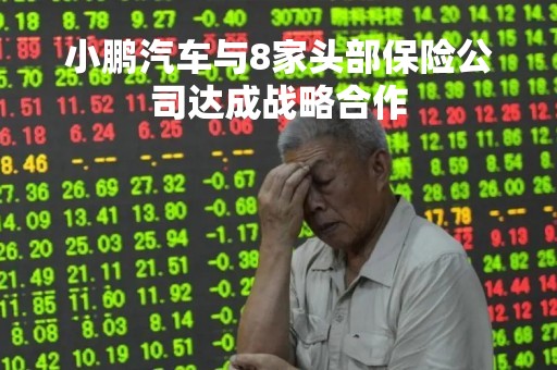 小鹏汽车与8家头部保险公司达成战略合作