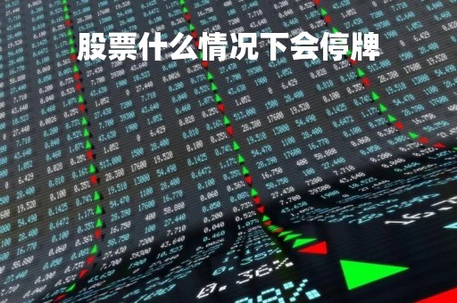 股票什么情况下会停牌