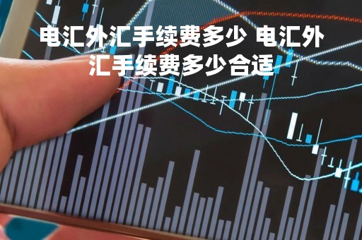 电汇外汇手续费多少 电汇外汇手续费多少合适