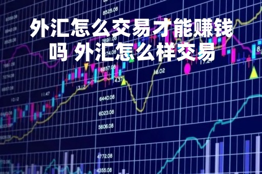 外汇怎么交易才能赚钱吗 外汇怎么样交易