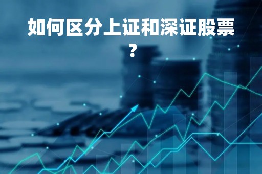 如何区分上证和深证股票？