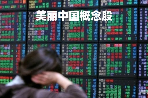 美丽中国概念股