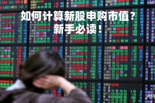 如何计算新股申购市值？新手必读！