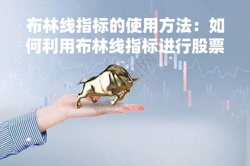 布林线指标的使用方法：如何利用布林线指标进行股票分析